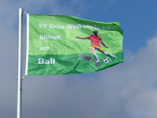 18.03.2017 SV Grün Weiß Linda vs. SV Hellas 09
