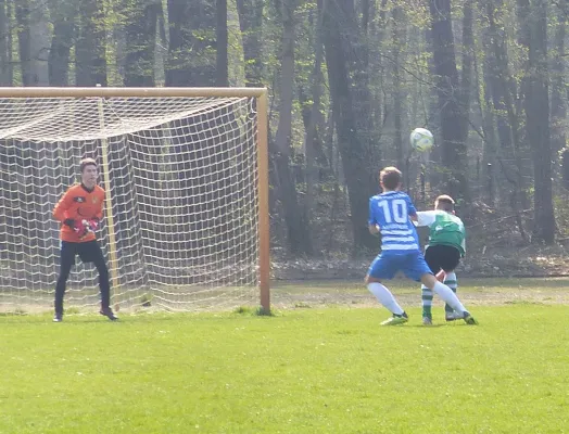 07.04.2019 JSG Heidekicker vs. SV Fortuna Magdeburg