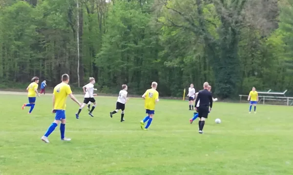 28.04.2019 JSG Heidekicker vs. SV 09 Staßfurt