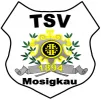 TSV Mosigkau