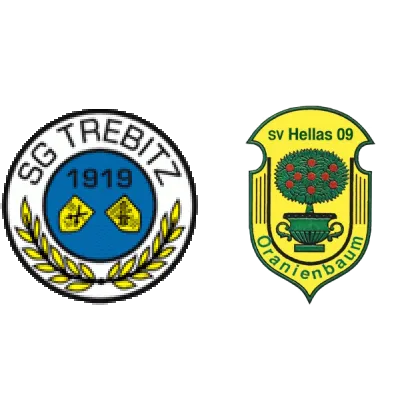 (1M) SG 1919 Trebitz <span class="nowrap bold mx-1">0 : 1</span> SV Hellas 09