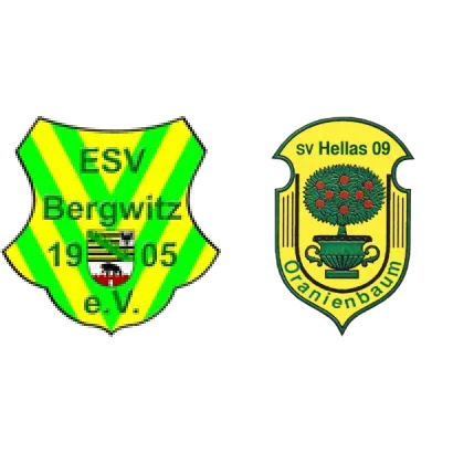 (2M) ESV Bergwitz 05 e.V. <span class="nowrap bold mx-1">1 : 4</span> SV Hellas 09 II