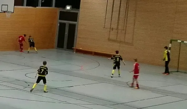 Vizemeisterschaft der D-Jugend