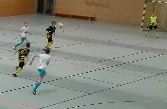 Vizemeisterschaft der D-Jugend
