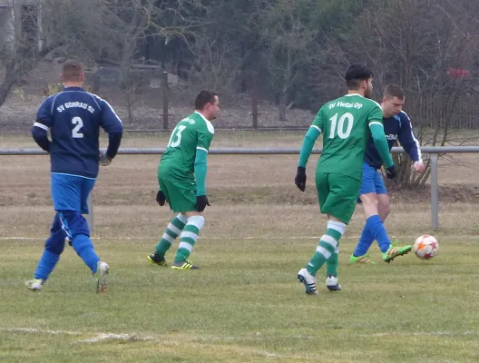11.02.2017 SV Gohrau 1952 vs. SV Hellas 09