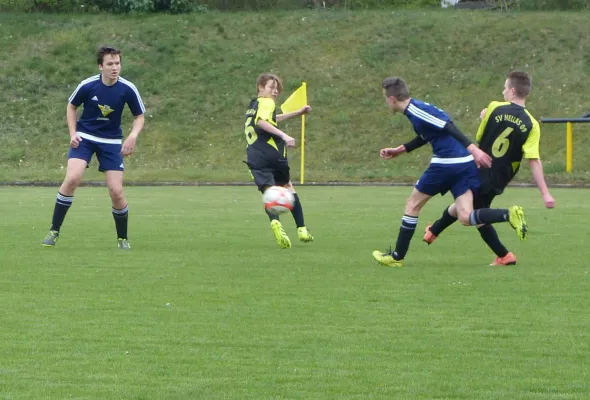 08.04.2017 JSG Heidekicker vs. Waldersee/Mildensee