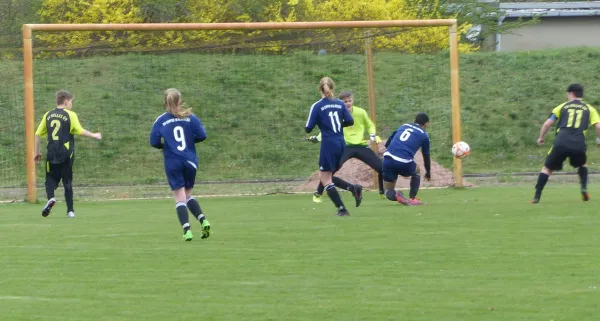 08.04.2017 JSG Heidekicker vs. Waldersee/Mildensee