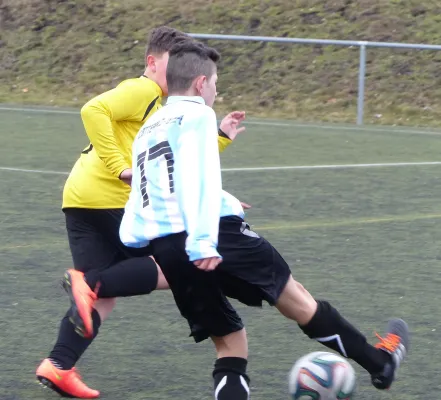 19.02.2017 Bitterfeld-Wolfen vs. JSG Heidekicker