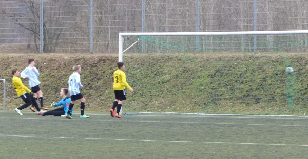 19.02.2017 Bitterfeld-Wolfen vs. JSG Heidekicker