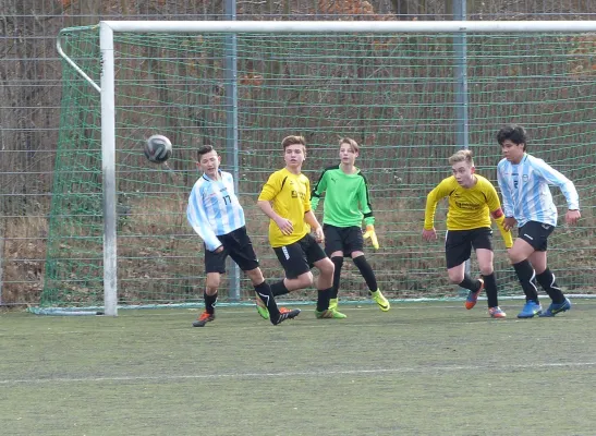 19.02.2017 Bitterfeld-Wolfen vs. JSG Heidekicker