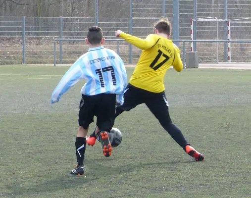 19.02.2017 Bitterfeld-Wolfen vs. JSG Heidekicker
