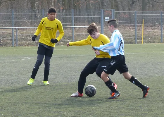 19.02.2017 Bitterfeld-Wolfen vs. JSG Heidekicker