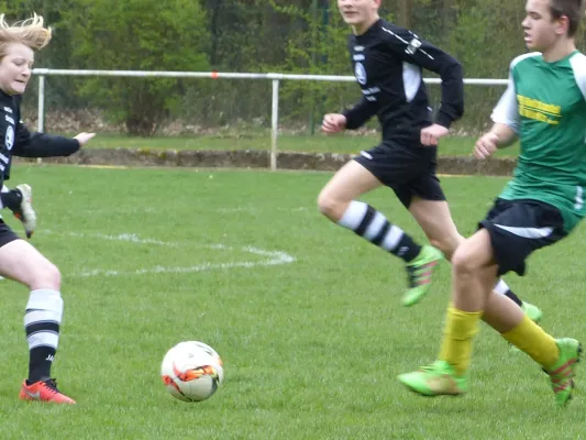 08.04.2017 JSG Heidekicker II vs. TSV Rot-Weiß Zerbst