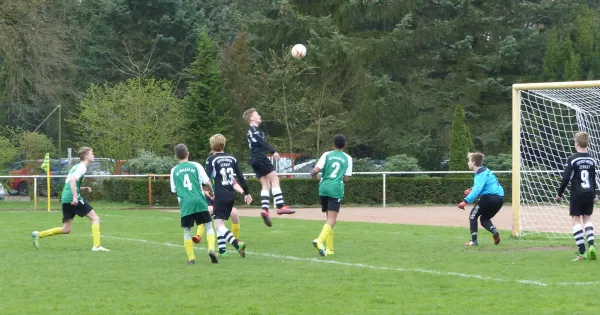 08.04.2017 JSG Heidekicker II vs. TSV Rot-Weiß Zerbst