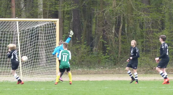 08.04.2017 JSG Heidekicker II vs. TSV Rot-Weiß Zerbst