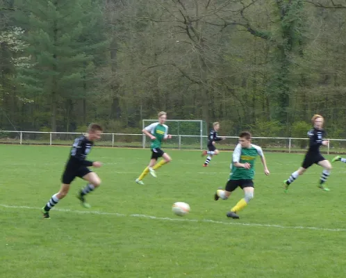 08.04.2017 JSG Heidekicker II vs. TSV Rot-Weiß Zerbst