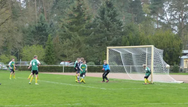 08.04.2017 JSG Heidekicker II vs. TSV Rot-Weiß Zerbst