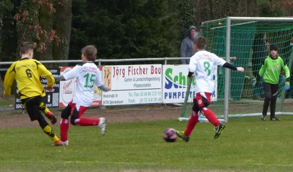 19.03.2017 JSG Heidekicker vs. Wittenberg/Reinsdorf II