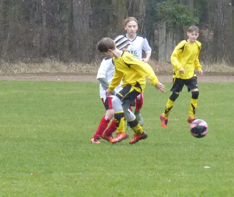 19.03.2017 JSG Heidekicker vs. Wittenberg/Reinsdorf II