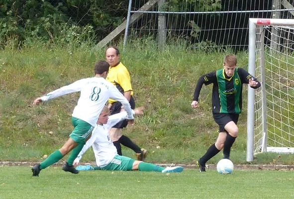 09.09.2017 VfB Zahna 1921 e.V. vs. SV Hellas 09