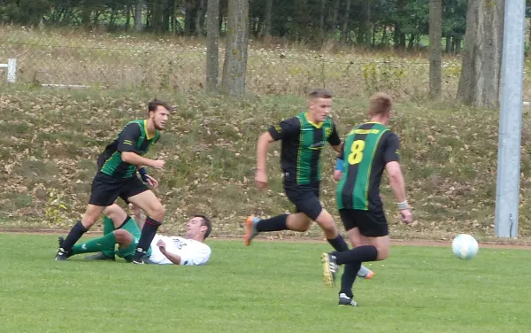 09.09.2017 VfB Zahna 1921 e.V. vs. SV Hellas 09