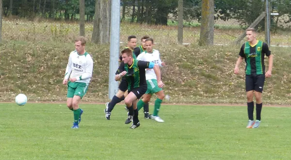 09.09.2017 VfB Zahna 1921 e.V. vs. SV Hellas 09