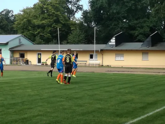 19.08.2017 JSG Heidekicker vs. Wittenberg/Reinsdorf