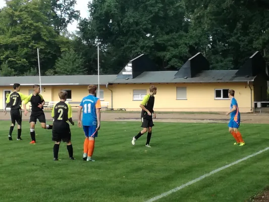 19.08.2017 JSG Heidekicker vs. Wittenberg/Reinsdorf