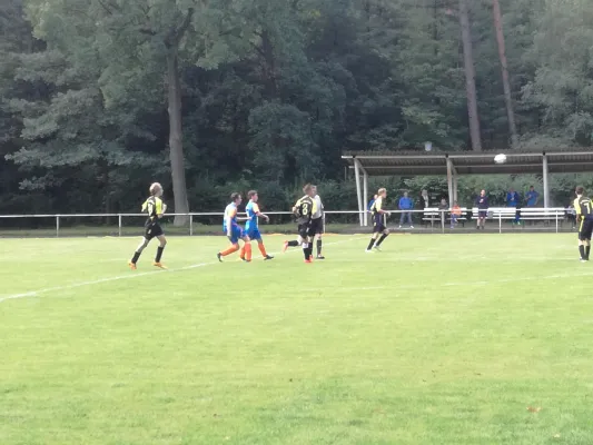 19.08.2017 JSG Heidekicker vs. Wittenberg/Reinsdorf