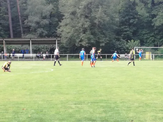 19.08.2017 JSG Heidekicker vs. Wittenberg/Reinsdorf