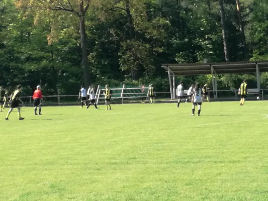 05.05.2018 JSG Heidekicker vs. FV Merzien