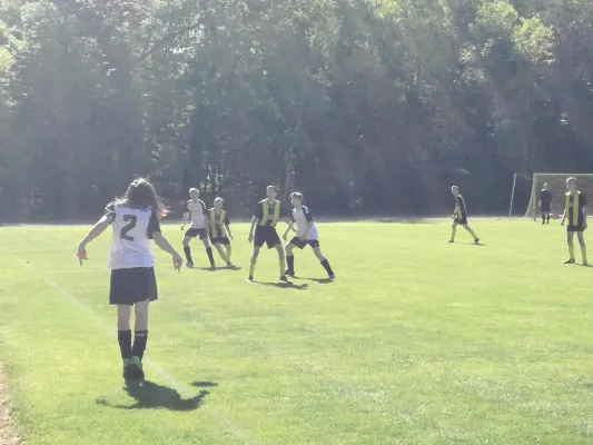 05.05.2018 JSG Heidekicker vs. FV Merzien
