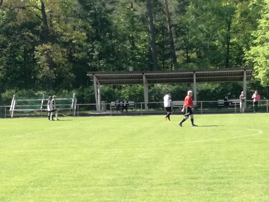 05.05.2018 JSG Heidekicker vs. FV Merzien