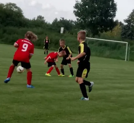 15.08.2017 SG Abus Dessau vs. JSG Heidekicker