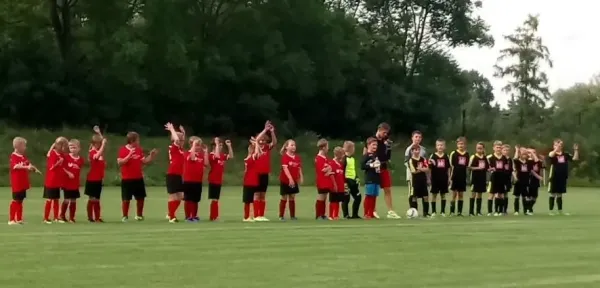 15.08.2017 SG Abus Dessau vs. JSG Heidekicker