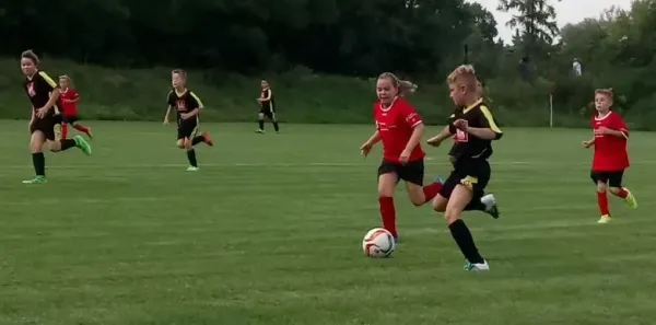15.08.2017 SG Abus Dessau vs. JSG Heidekicker