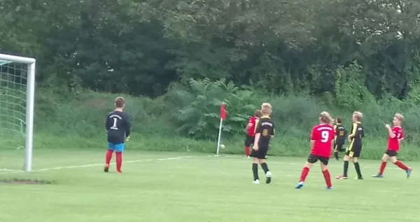 15.08.2017 SG Abus Dessau vs. JSG Heidekicker