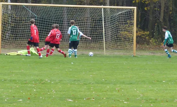 12.11.2017 JSG Heidekicker vs. TSV Rot-Weiß Zerbst