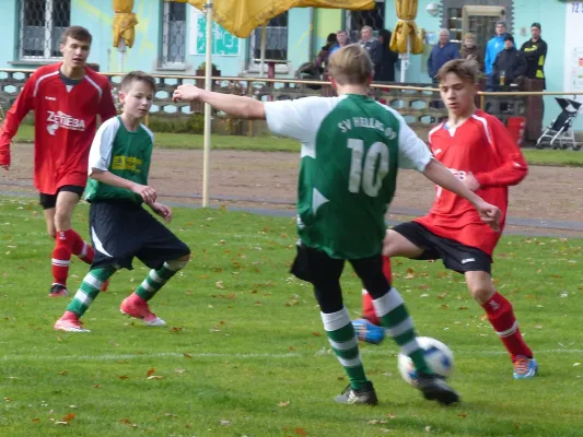 12.11.2017 JSG Heidekicker vs. TSV Rot-Weiß Zerbst