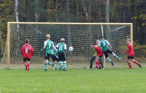 12.11.2017 JSG Heidekicker vs. TSV Rot-Weiß Zerbst