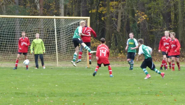 12.11.2017 JSG Heidekicker vs. TSV Rot-Weiß Zerbst