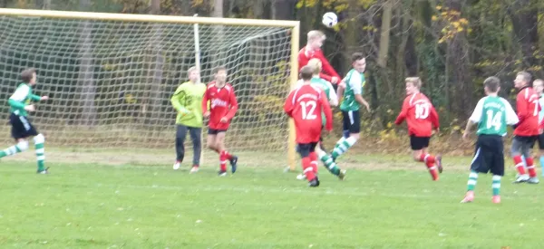 12.11.2017 JSG Heidekicker vs. TSV Rot-Weiß Zerbst