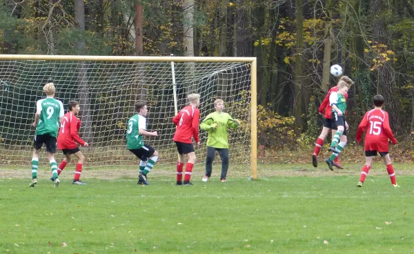 12.11.2017 JSG Heidekicker vs. TSV Rot-Weiß Zerbst