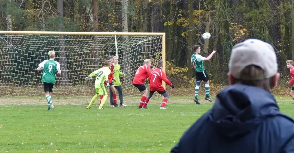 12.11.2017 JSG Heidekicker vs. TSV Rot-Weiß Zerbst