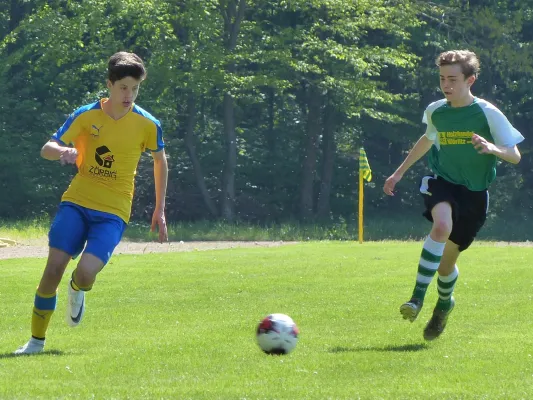 29.04.2018 JSG Heidekicker vs. Zörbig/Fuhnekicker