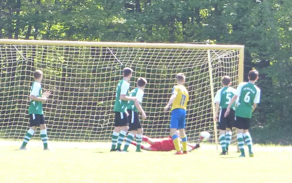 29.04.2018 JSG Heidekicker vs. Zörbig/Fuhnekicker