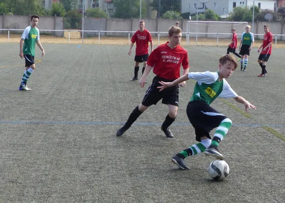 10.06.2018 TSV Rot-Weiß Zerbst vs. JSG Heidekicker