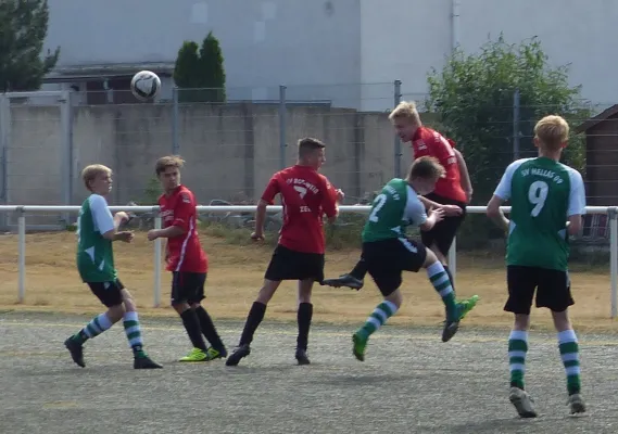 10.06.2018 TSV Rot-Weiß Zerbst vs. JSG Heidekicker