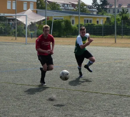 10.06.2018 TSV Rot-Weiß Zerbst vs. JSG Heidekicker