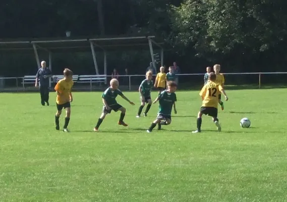03.09.2017 JSG Heidekicker vs. Grün-Weiß Annaburg